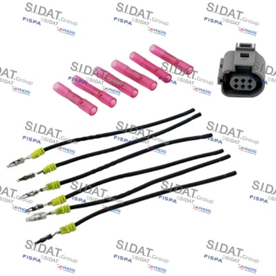 SIDAT 405517