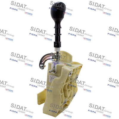 SIDAT BG010038