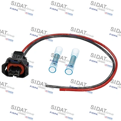 SIDAT 405647