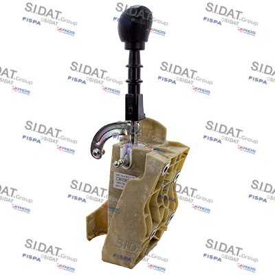 SIDAT BG010039