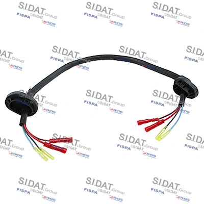 SIDAT 405481