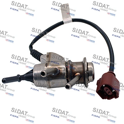 SIDAT 980056