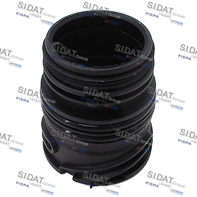SIDAT 405493