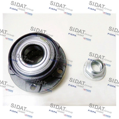 SIDAT 460139