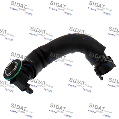 SIDAT 501458