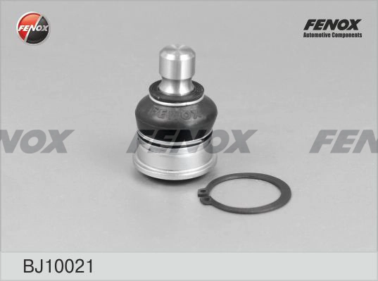 FENOX BJ10021