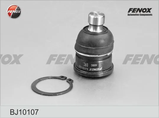 FENOX BJ10107