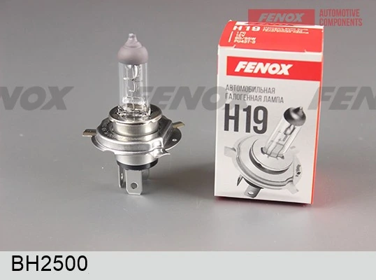 FENOX BH2500