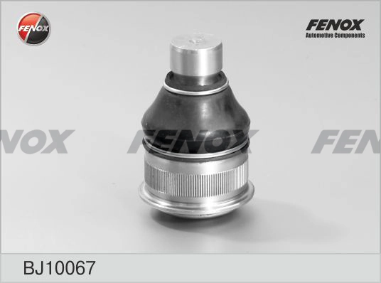 FENOX BJ10067