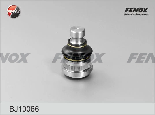 FENOX BJ10066