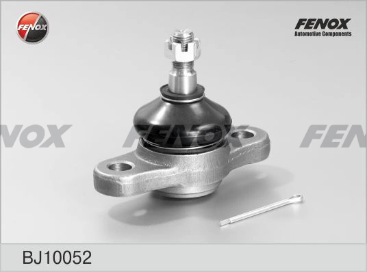 FENOX BJ10052