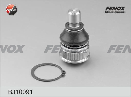 FENOX BJ10091