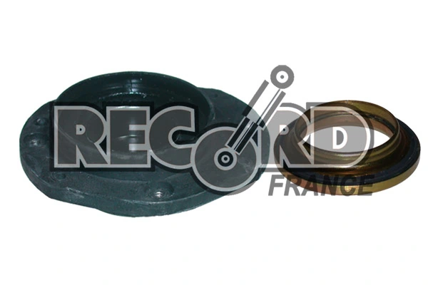 RECORD FRANCE 925517