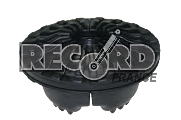 RECORD FRANCE 926018