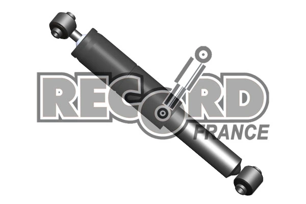 RECORD FRANCE 003831