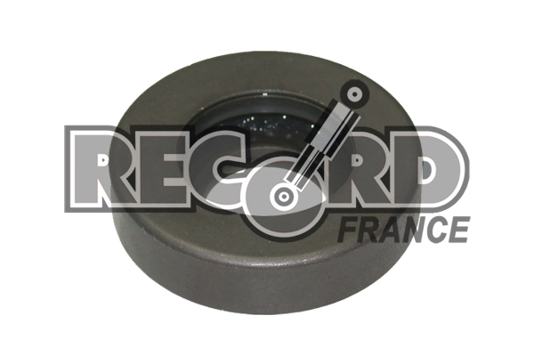 RECORD FRANCE 924880