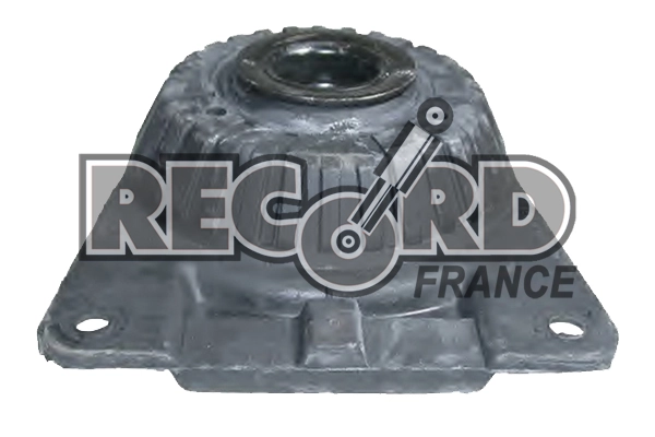 RECORD FRANCE 924760