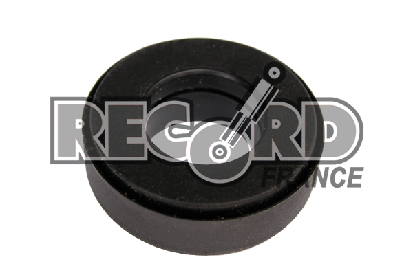 RECORD FRANCE 924069
