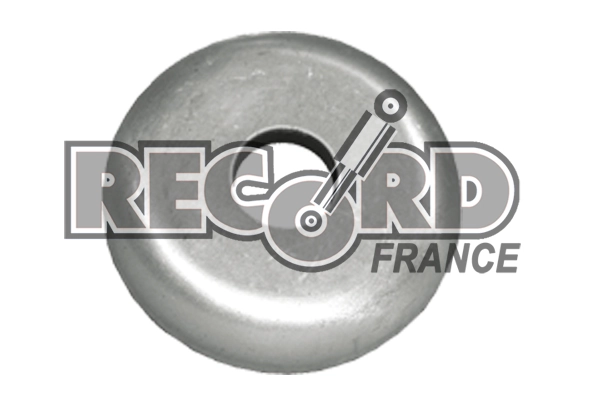 RECORD FRANCE 924750