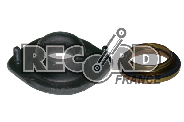 RECORD FRANCE 925511