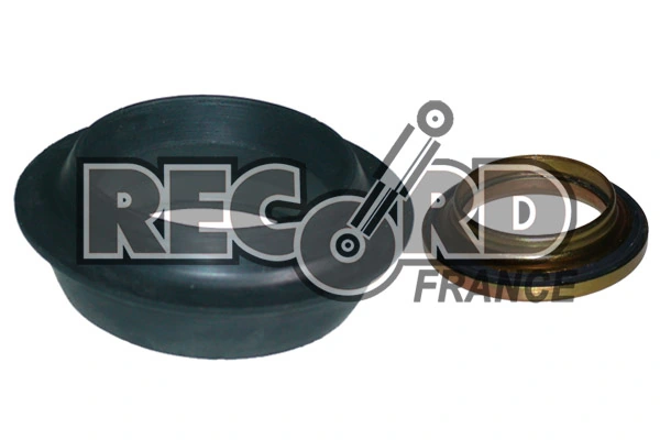 RECORD FRANCE 925411