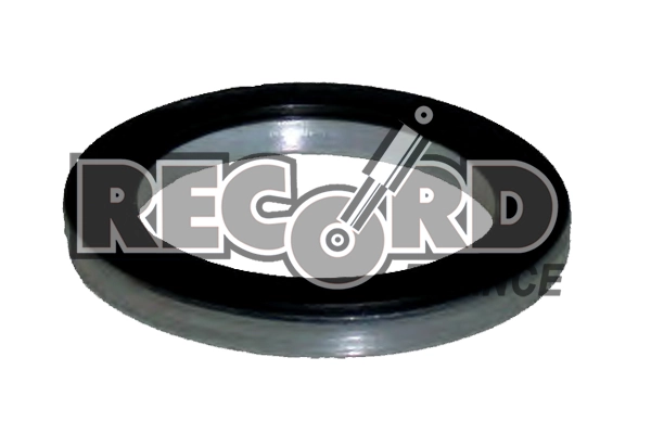RECORD FRANCE 924133