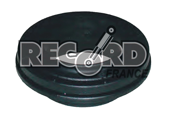 RECORD FRANCE 924161