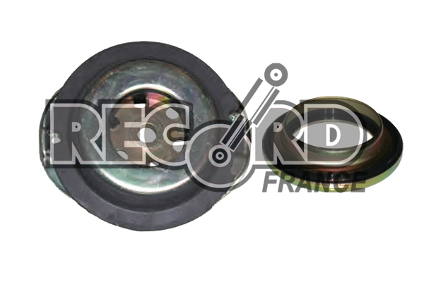 RECORD FRANCE 925216