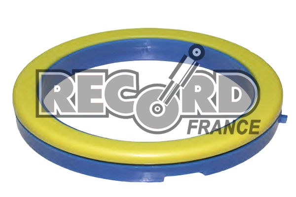 RECORD FRANCE 924964