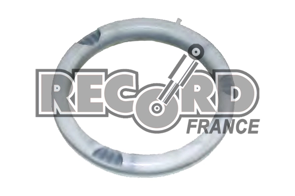 RECORD FRANCE 924963