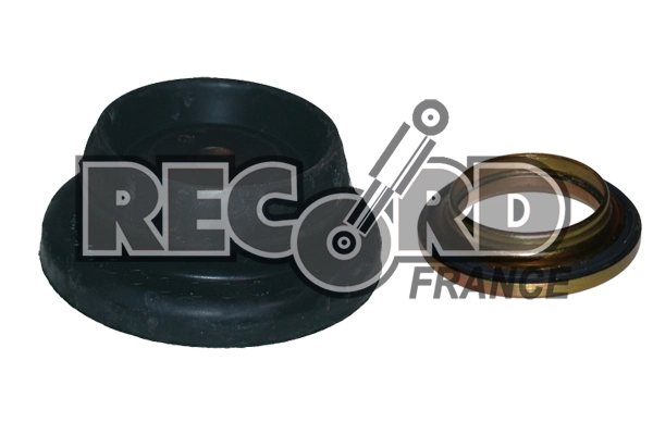 RECORD FRANCE 925519