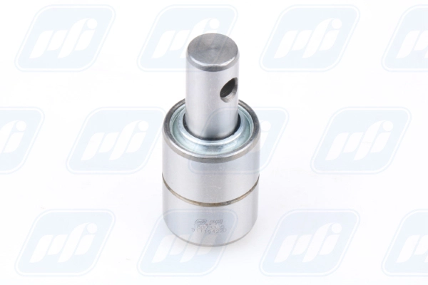 PFI 18073305