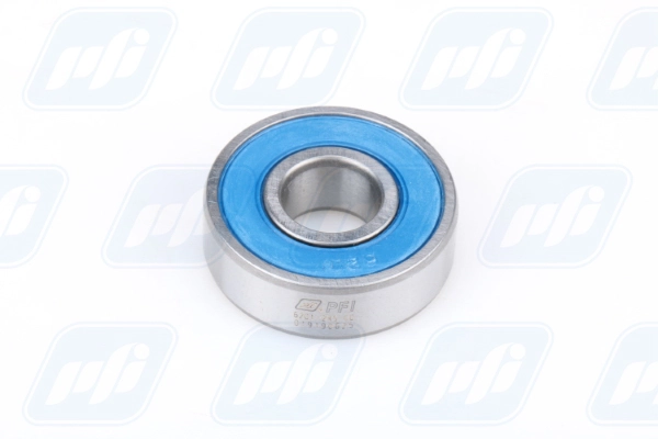 PFI 6201-2RS C0