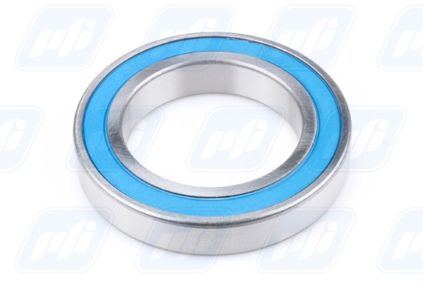 PFI 6016-2RS C3
