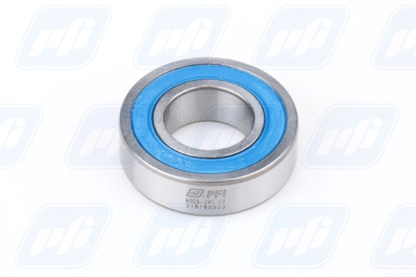 PFI 6003-2RS C0