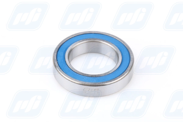 PFI 6905-2RS C3