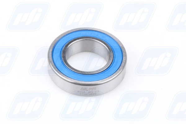 PFI 6904-2RS C3