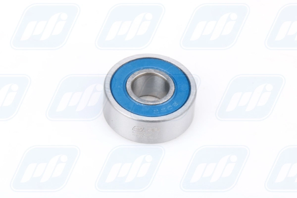 PFI 62000-2RS C3
