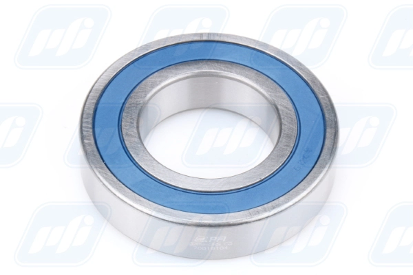 PFI 6209-2RS C3