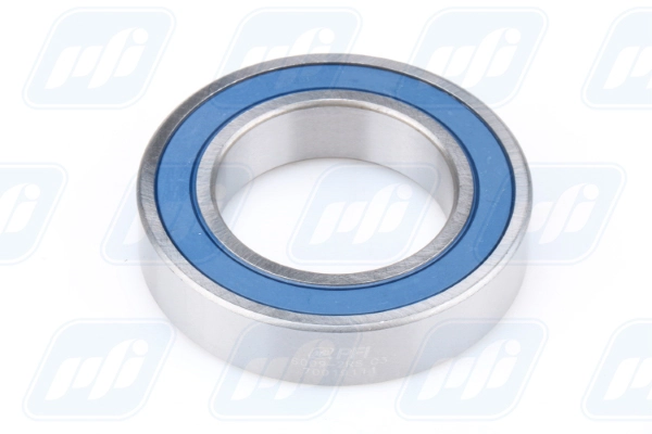 PFI 6009-2RS C3