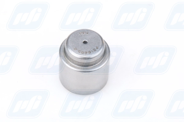 PFI F212285.2