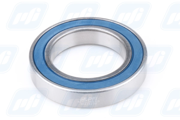 PFI 6012-2RS C3