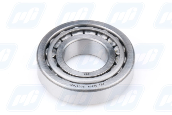 PFI 30309
