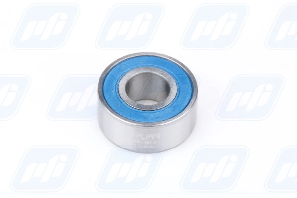 PFI 63001-2RS C3