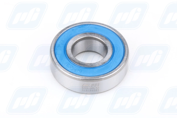 PFI 6203-2RS C3