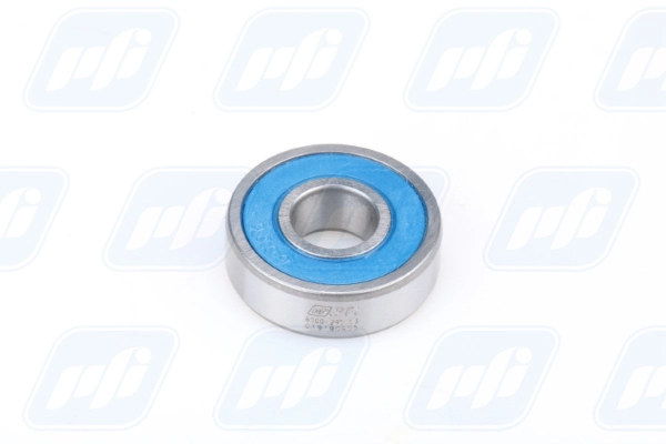 PFI 6000-2RS C3