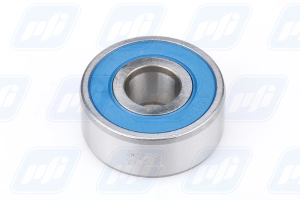 PFI 62302-2RS C3