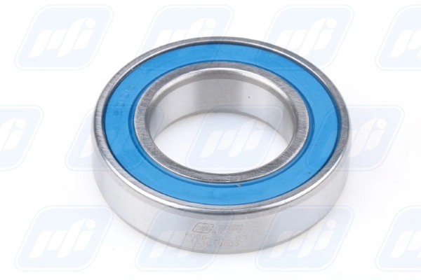 PFI 6006-2RS C3