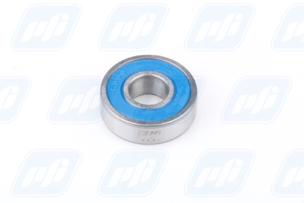 PFI 6000-2RS C0