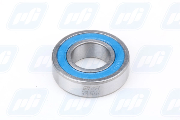 PFI 6003-2RS C3